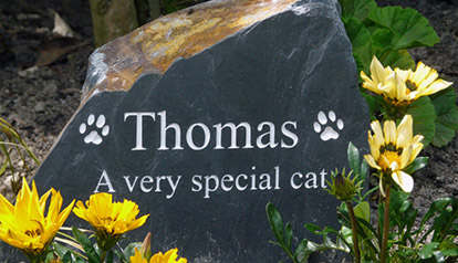 pet cat memorial stone